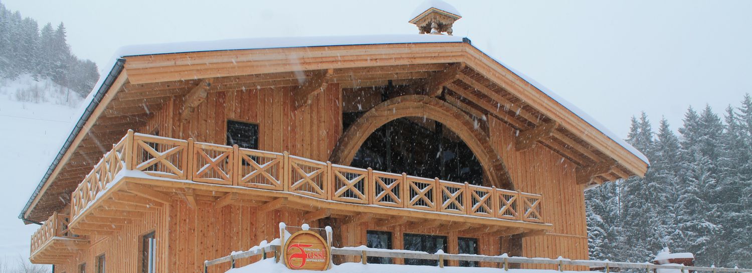 Balkons en gevel · winterbeeld